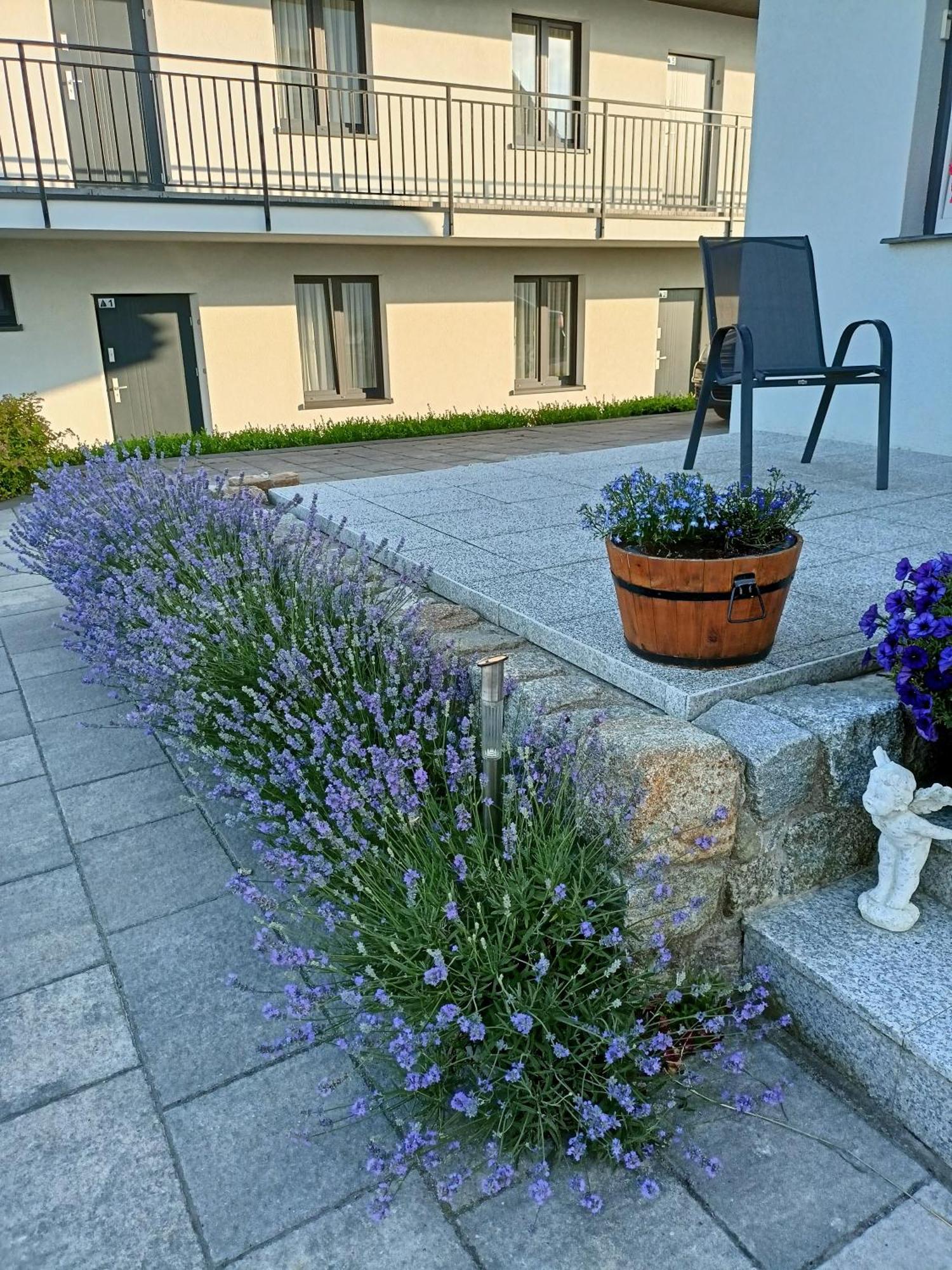 Apartamenty Jasienczyk ملنك المظهر الخارجي الصورة